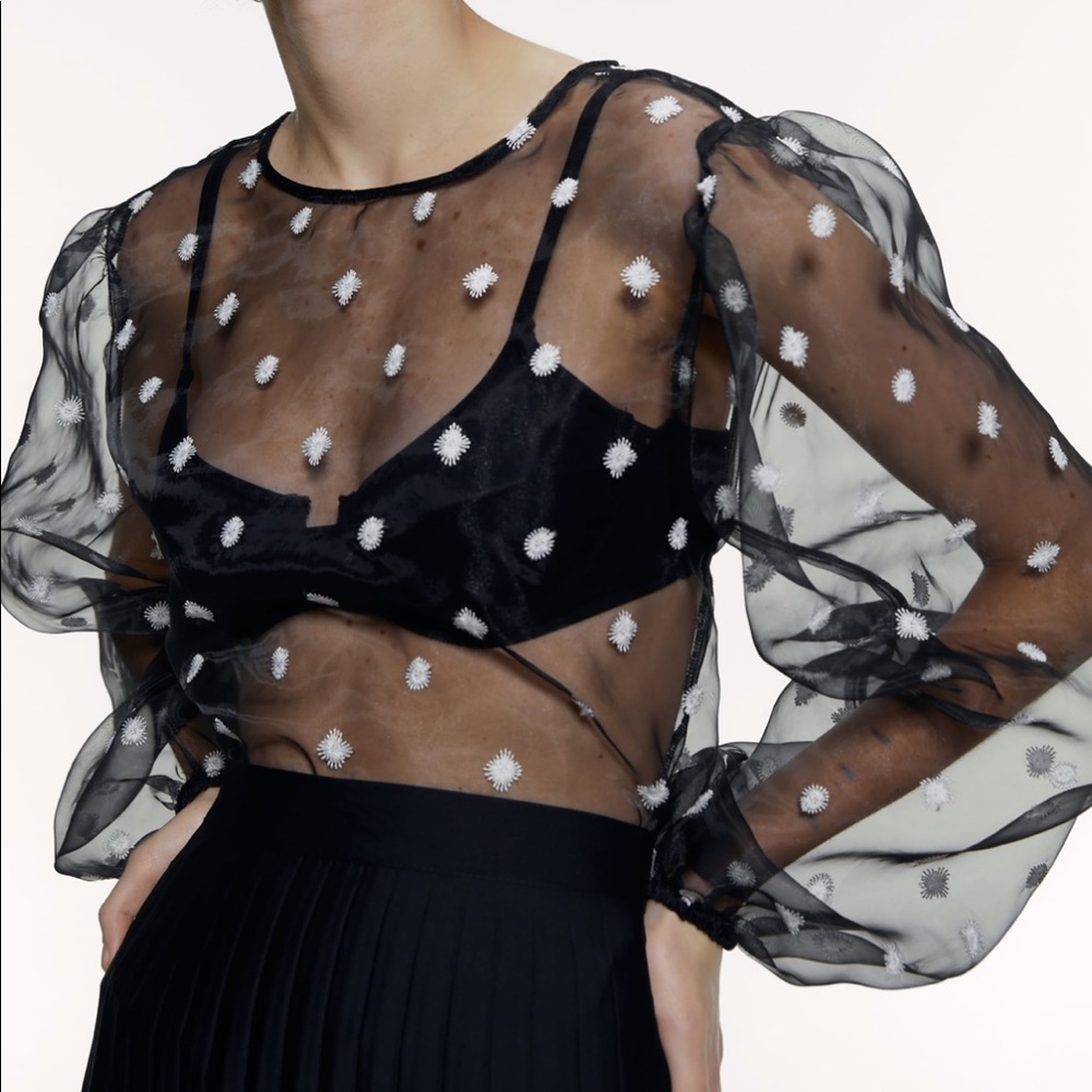 ZARA Embroidered Organza Top - Picture 2 of 7